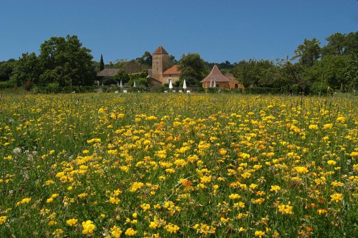 Gites Du Boussagou Marminiac Extérieur photo